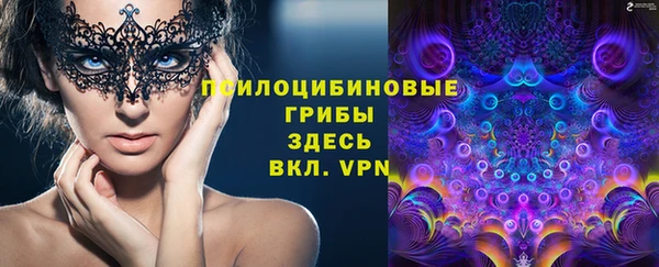 прущая мука Горно-Алтайск