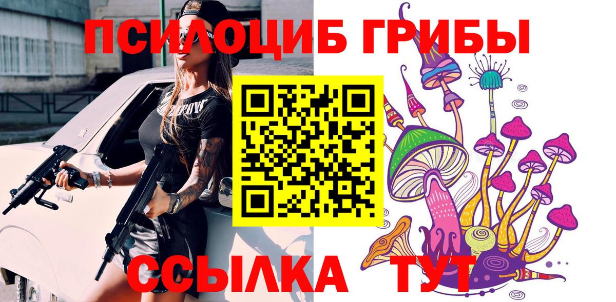 цена наркотик  Нерюнгри  Псилоцибиновые грибы прущие грибы 