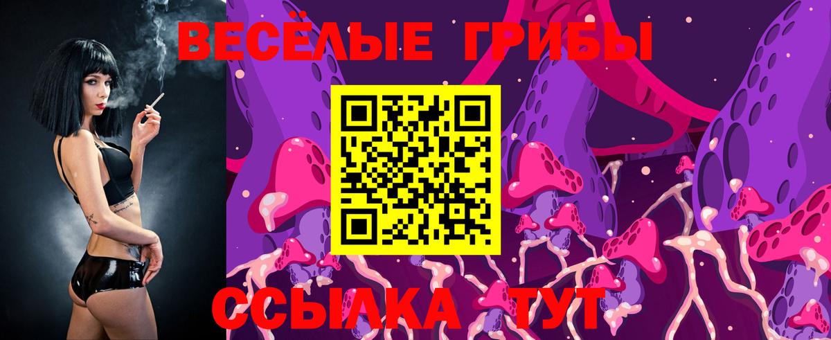 Галлюциногенные грибы Psilocybine cubensis Нерюнгри