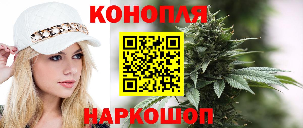 Шишки марихуана план  Шишки марихуана White Widow  Вход с VPN  Нерюнгри  Бошки марихуана семена 